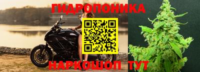 Альфа ПВП Пенза